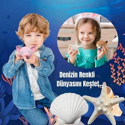 Kabuk Atölyesi™ Yaratıcı Etkinlik Seti